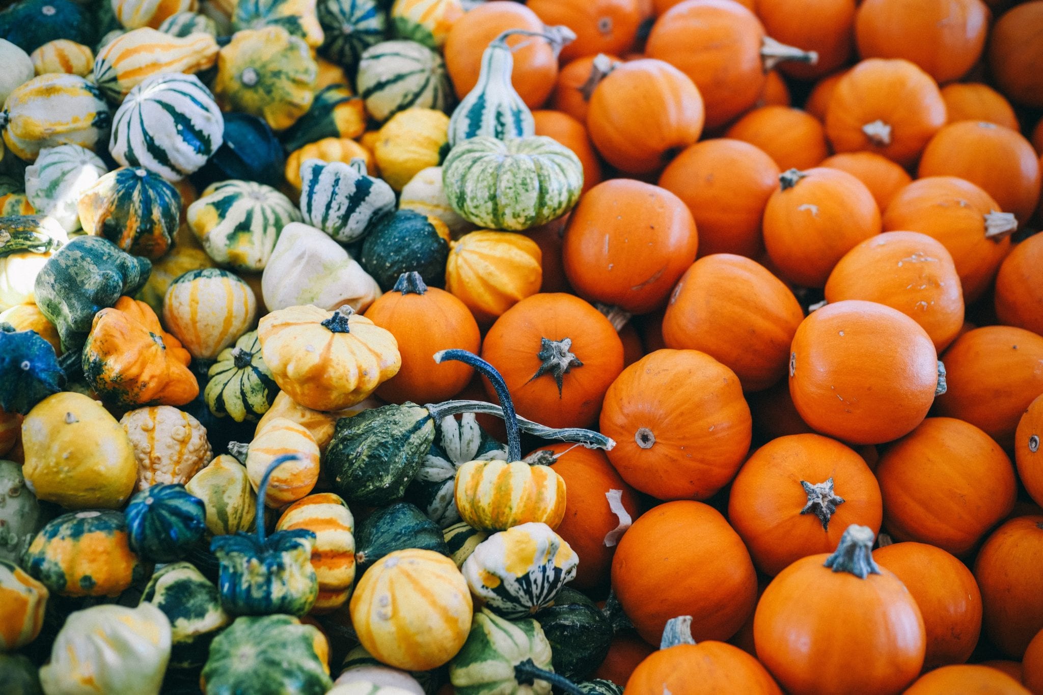 Seasonal squash and sage risotto
 &ndash; Igluu Meal Prep
